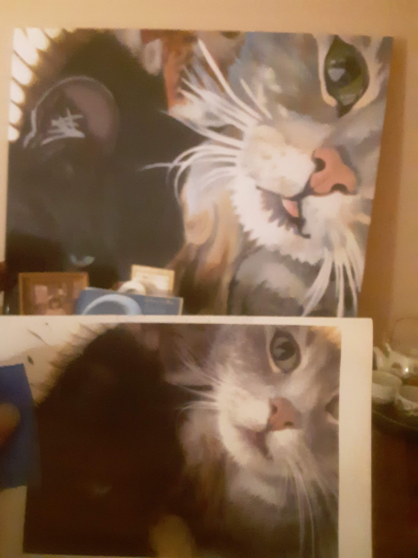Two Cats — Acrylic, paired panels by Hannah Joy Smith, 2019