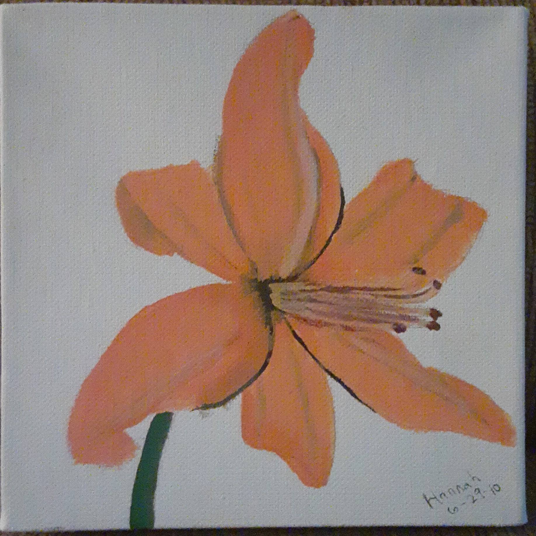 Orange Lily — Acrylic on canvas by Hannah Joy Smith, 2010